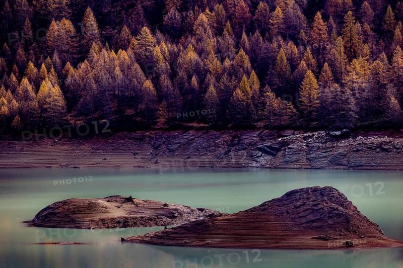 Two small islands in a lake surrounded by autumn trees with a calm water surface, Lago di Devero reservoir, Val d'Ossola, Verbano-Cusio-Ossola province, Piedmont, Italy, Europe