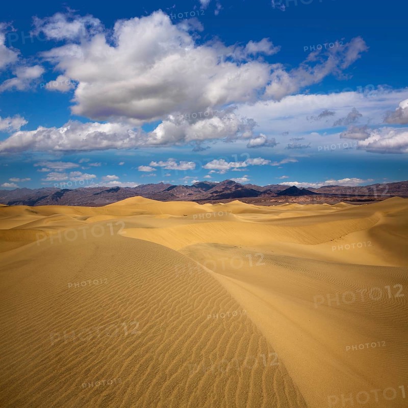 Mesquite Dunes desert in Death Valley National Park California