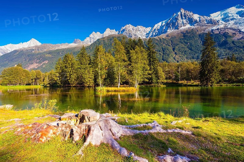 The mountain resort of Chamonix, Haute-Savoie. City Park is illuminated by sunset. The lake reflected the snow-capped Alps and evergreen spruce