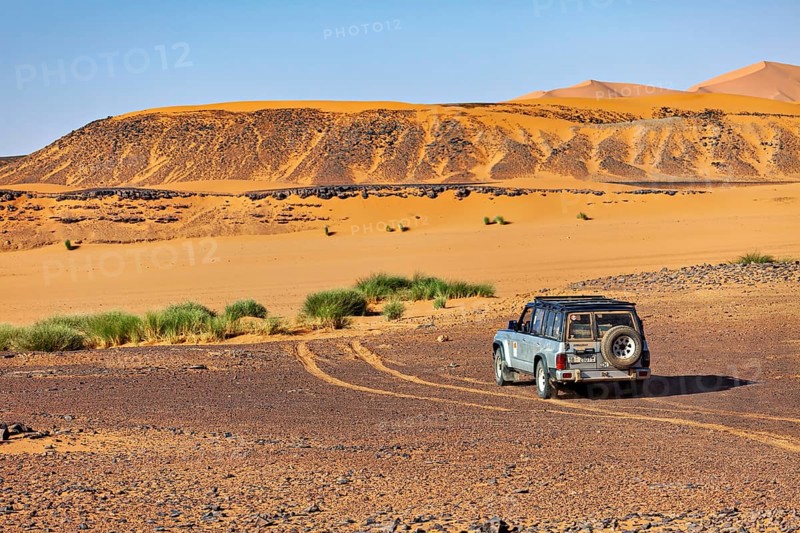 An off-road vehicle drives on unpaved lanes in a desert landscape with low vegetation, Off-road vehicle driving through the dry desert, a tree in the foreground, By off-road vehicle through the Sahara desert in Algeria