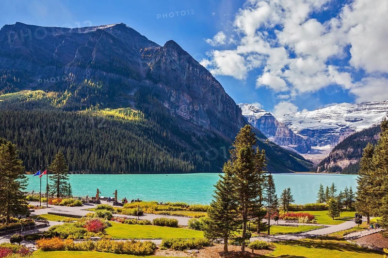 Banff National Park, Rocky Mountains, Canada. Flowers on the embankment of glacial Lake Louise. Emerald Lake is surrounded by mountains, glaciers and pine forests