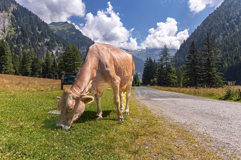 Impressions from Mallnitz Hohe Tauern National Park Seebachtal