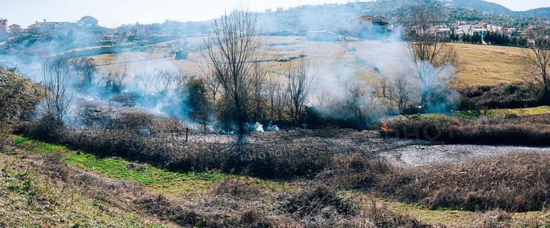 Fire in the woods in the afternoon. Albanian forest is burning near the highway