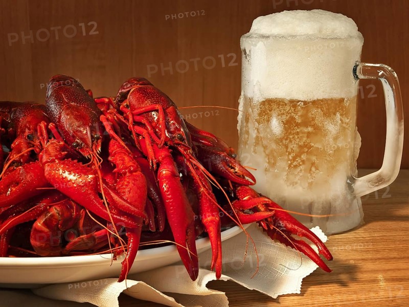 Red boiled crawfishes on plate and beer