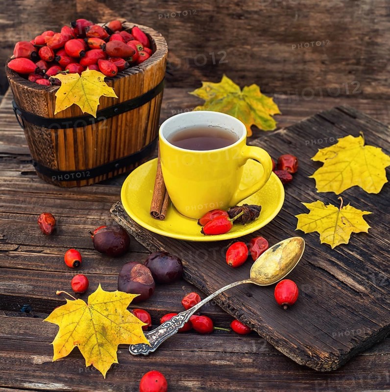 Dogrose berries and maple autumn leaves against the yellow saucer