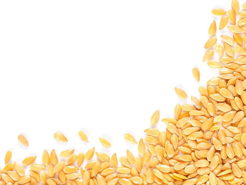 Golden flax seed with copy space. Isolated one edge. Top view or flat lay