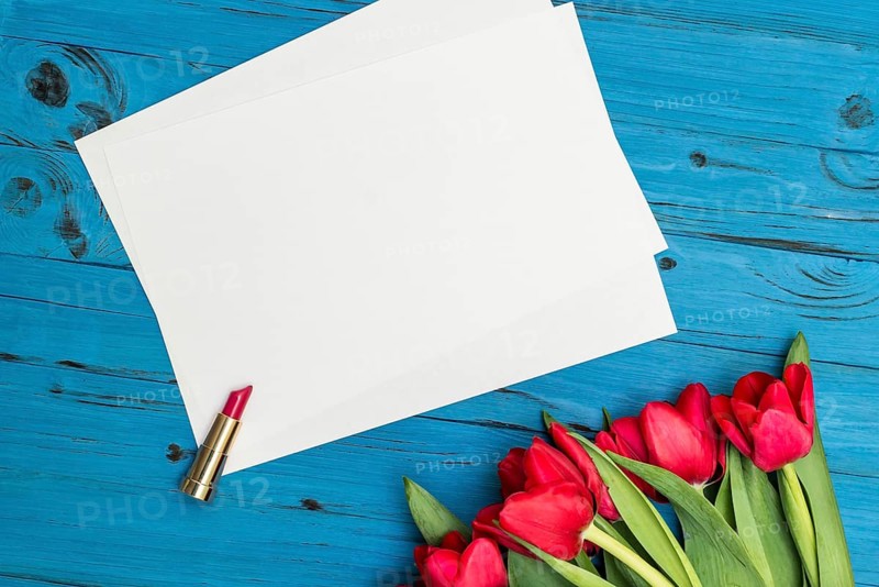 Red tulips, lipstick and a white sheet of paper for your greetings on the background of blue wooden board