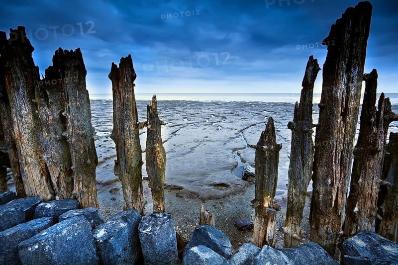Wooden dike and mud at low tide on north sea