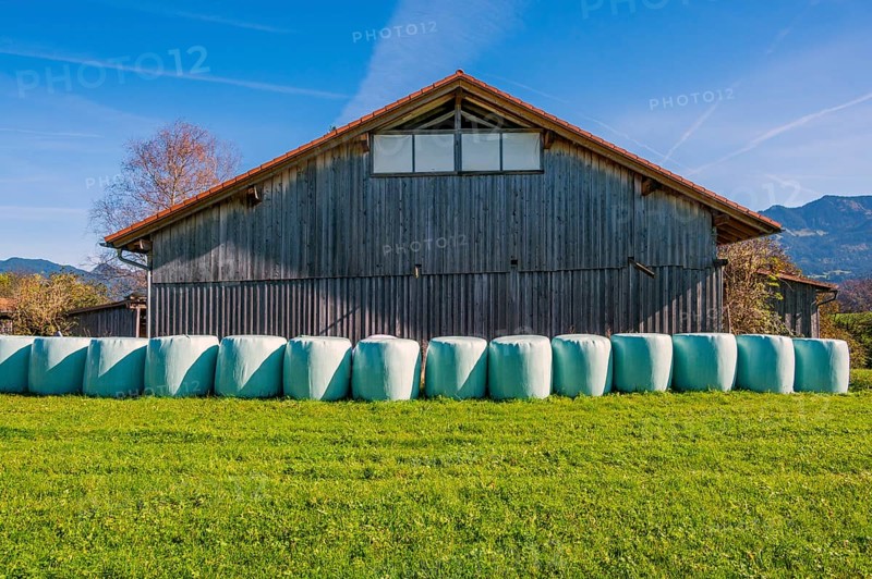 Barn with grass in round bales, round bale silage, on the Schweineberg, blue sky, near Ofterschwang, Allgäu, Bavaria, Germany, Europe