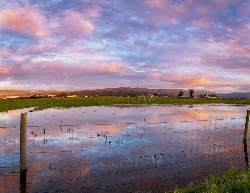 A barbed wire fence crosses a flooded pasture at sunset., Northern California, USA, North America