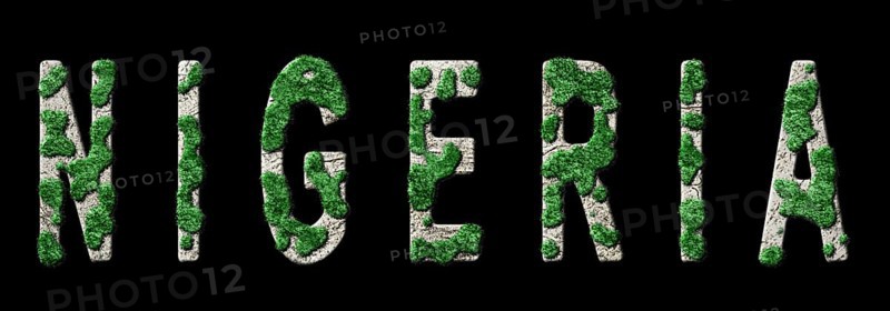 Nigeria Reforestation and Climate Message, Sustainable Green Typography, Green Agenda