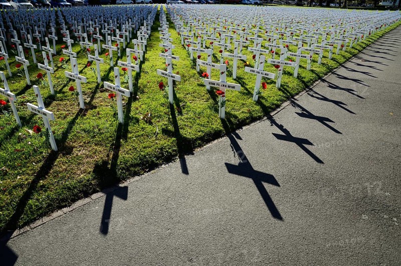A field of crosses represents those who died in the Great War for a memorial on Anzac Day in Christchurch, New Zealand, 2018, Oceania