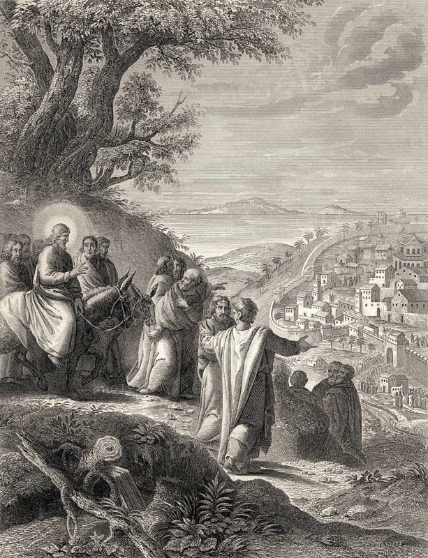 Jesus riding a donkey to Jerusalem, New Testament, steel engraving 1853, digitally restored