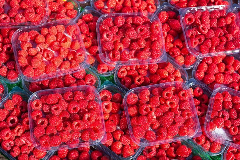 Fresh raspberries in trays on a market stall for sale, Bremen, Germany, Europe
