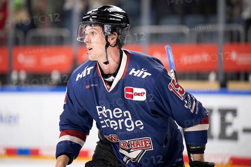 Laura Dick Cologne, LanxessArena, North Rhine-Westphalia, Louis- Marc Aubry (Cologne Sharks, #15), PENNY DEL, Cologne Sharks-Augsburg Panthers on 08.12.2024 at the LanxessArena in Cologne Germany