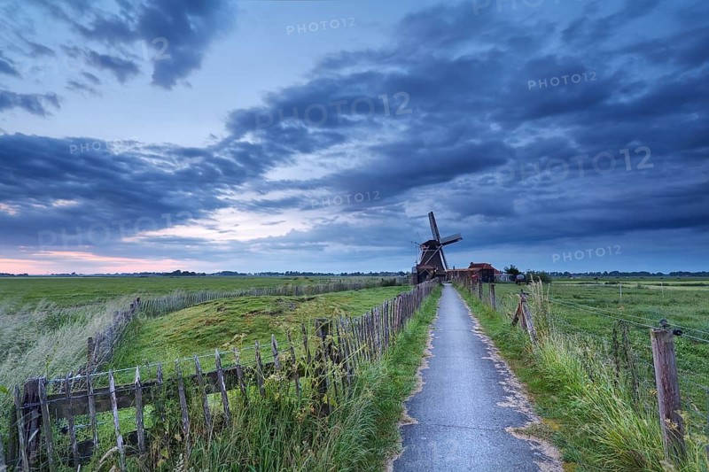 Dutch farmland with windmill in morning, Netherlands