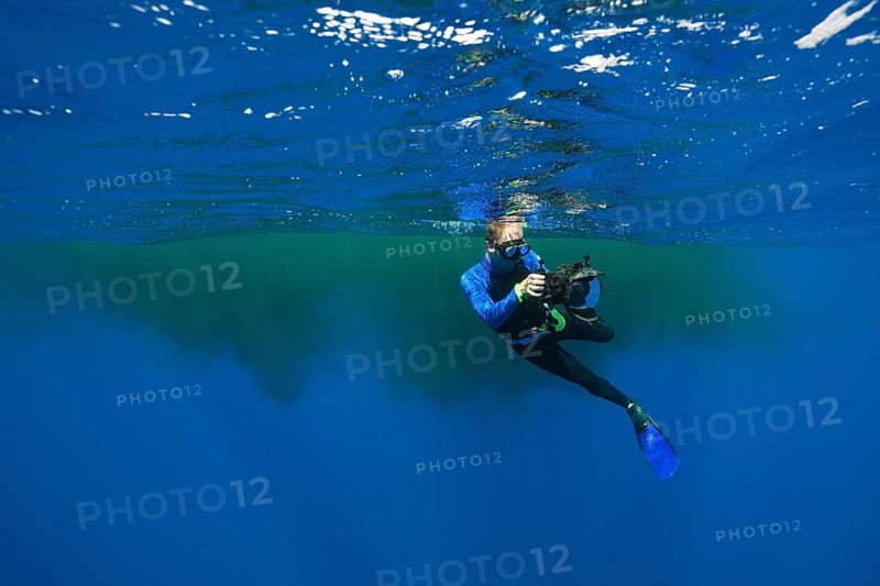 Snorkellers swimming in sperm whale excrement, Physeter macrocephalus, Caribbean, Dominica, Central America