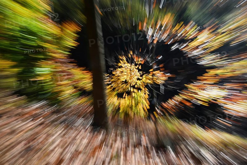 DEU, Germany, Iserlohn: The autumn colours enchant the forest in the Sauerland and also the people in the Märkischer Kreis. The creative photographer does the rest, Europe