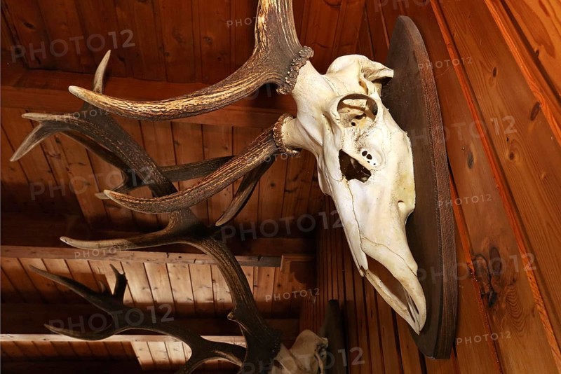 Antlers