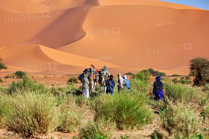 Group of people and camels standing in sandy desert landscape with vegetation, Tuareg with his camel caravan in the Sahara in Algeria