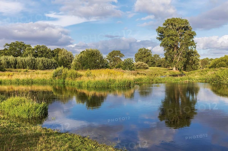 Trave river near Bad Oldesloe in Schleswig-Holstein, Germany, with reflection of the sky and the vegetation in the water. Reconnection oxbow Kneeden, Renaturalisation Lowland river Trave near Bad Oldesloe in Schleswig-Holstein, Germany, with reflection of the sky and the vegetation in the water.Reconnection of oxbow lake Kneeden, Europe