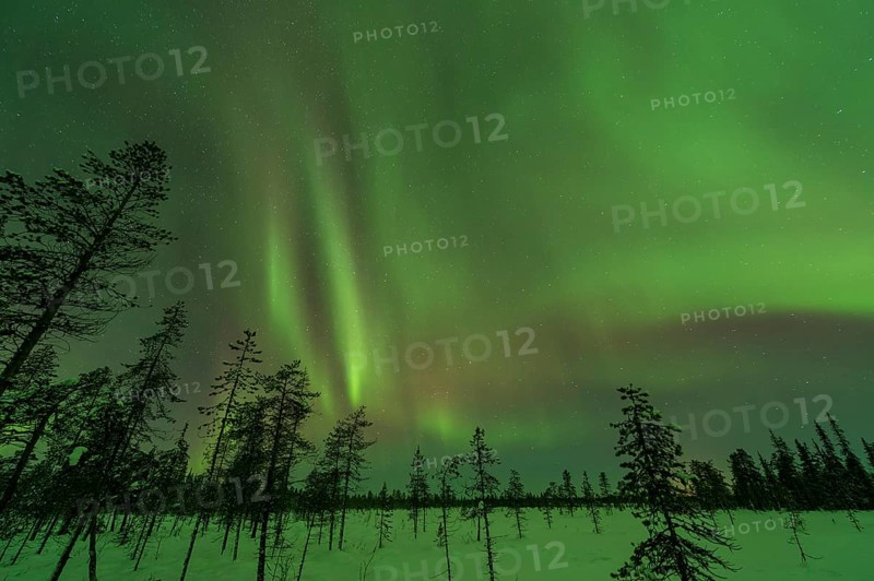 Northern Lights (Aurora borealis) over snowy landscape, Gällivare, Norrbotten, Lapland, Sweden, November 2012, Europe