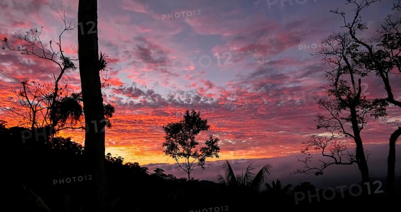 Colorful sunset sky in Serra da Mantiqueira with tree silhouettes in foreground, Itatiaia, Brazil, South America