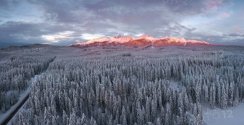 Snow covered winter forest landscape aerial view with pines and mountains in the background. Cold morning sunrise with alpenglow