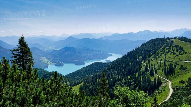 View of the Walchensee from the Herzogstand