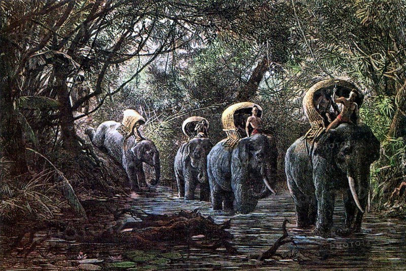 Dr Paul Neis undertook a scientific mission to Cochinchina and Laos on behalf of the French Minister of Public Education. He returned to Bangkok by way of Chiang Mai and north Thailand. His mission lasted for 19 months between 1882 and 1884