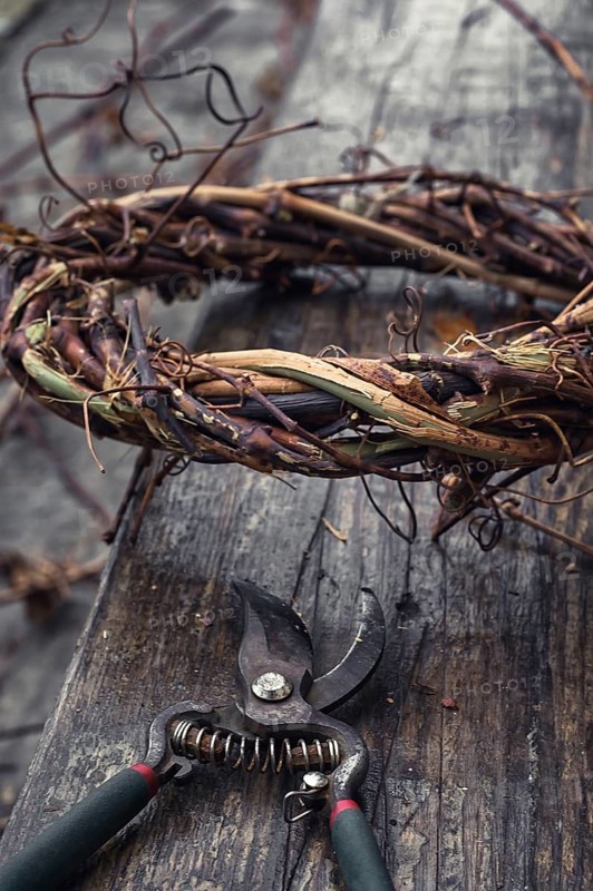 Cut grape branches twisted into crown manually