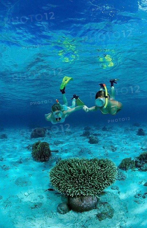 Two woman snorkelling, Bali, Indian Ocean, Indonesia, Asia