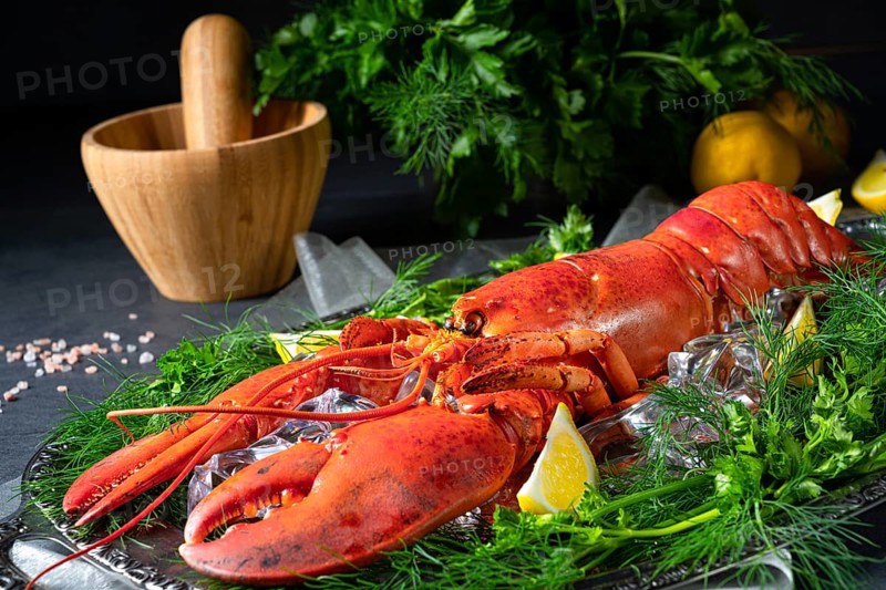 The cooked lobster on ice