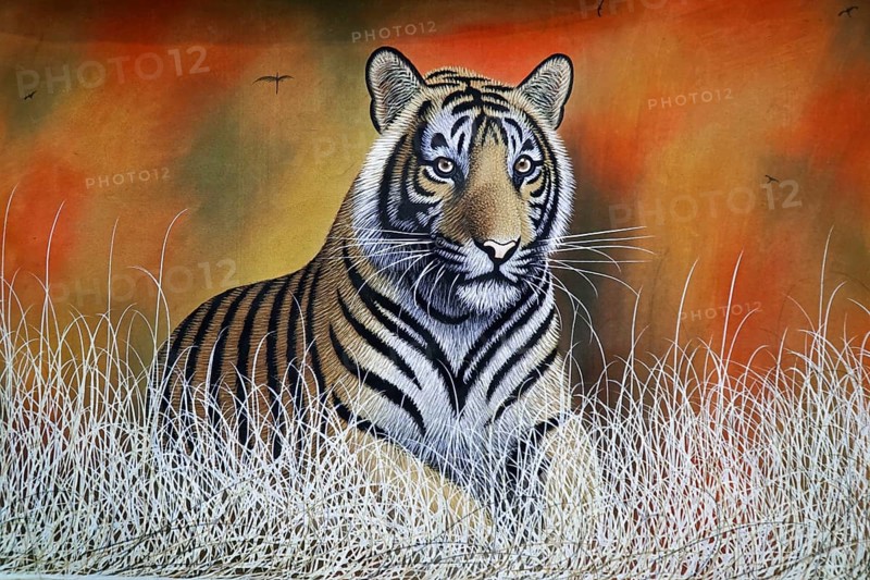 Paintings, Sale, Souvenirs, Rotel Bus, Udaipur, Rajasthan, India, Asia