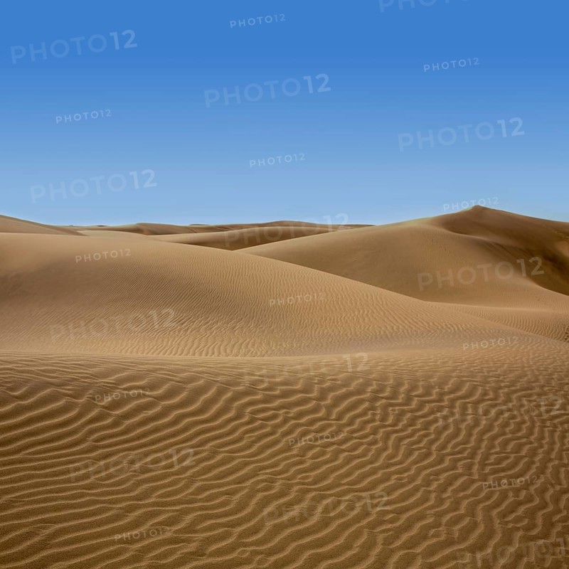 Desert dunes sand in Maspalomas Oasis Gran Canaria at Canary islands
