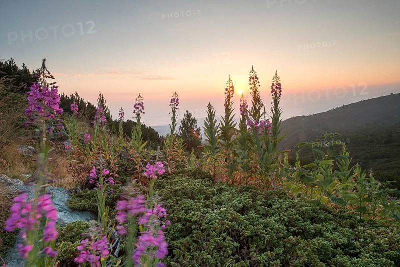 Sunrise in the mountain. Bulgaria, Rila mountain