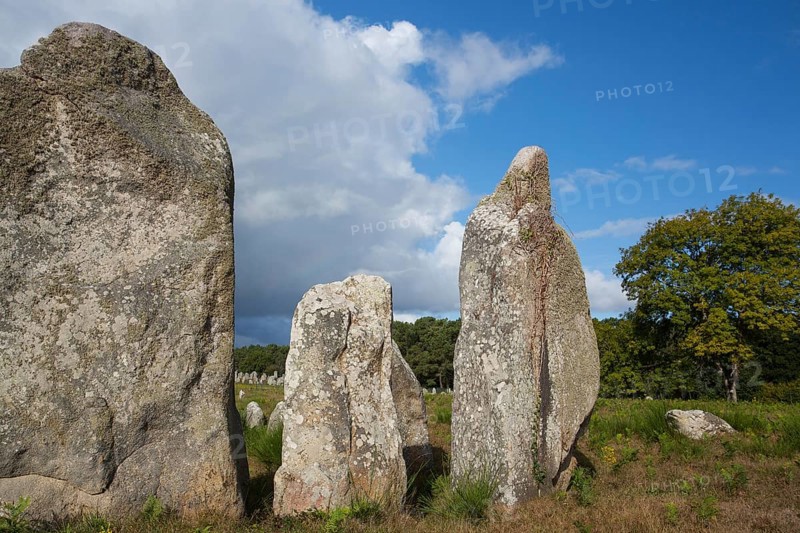 Menhirs, near Carnac, Brittany, France, Europe