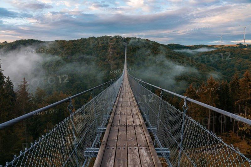 View of a suspension bridge in Germany, Geierlay
