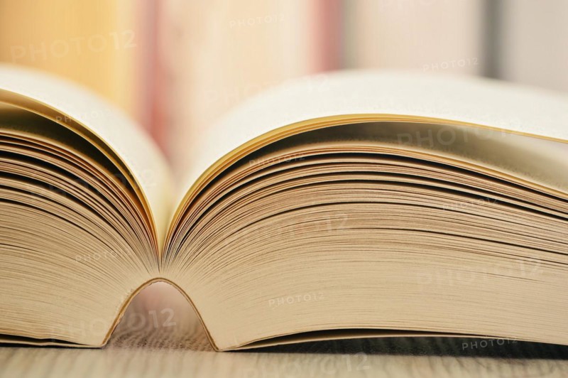 Composition with books on the table