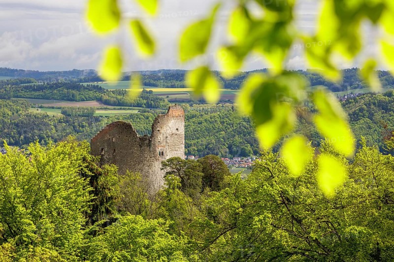 Ruined castle embedded in lush green vegetation under a cloudy sky, Altbodman castle ruins, Bodman, Lake Constance, Baden-Württemberg, Germany, Europe