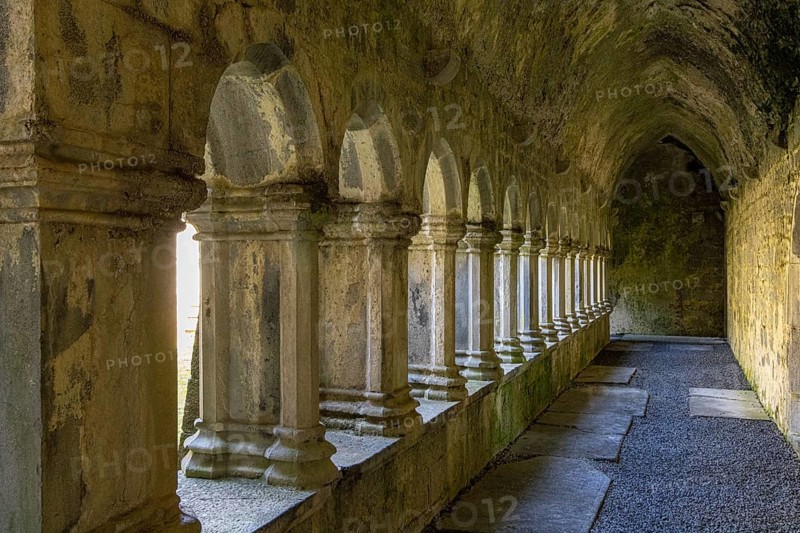 Quin Abbey, Clare, Ireland, Europe
