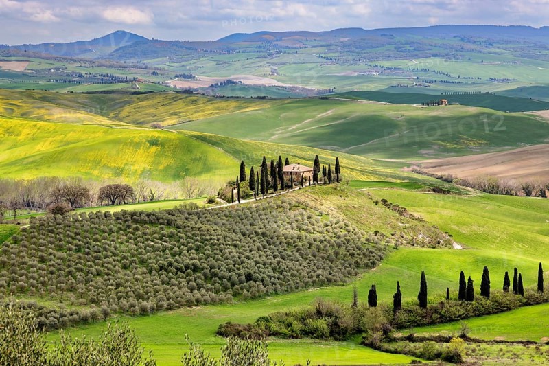 House with cypresses in spring in Val d Orcia, Tuscany, Italy, Europe