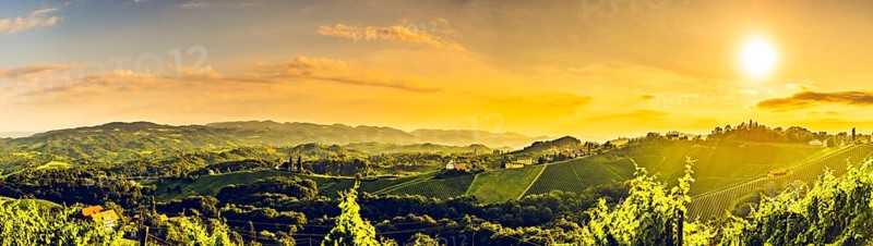 Sunny panorama of grape hills on Vineyards in south Austria. Vivid contrast high resolution landscape
