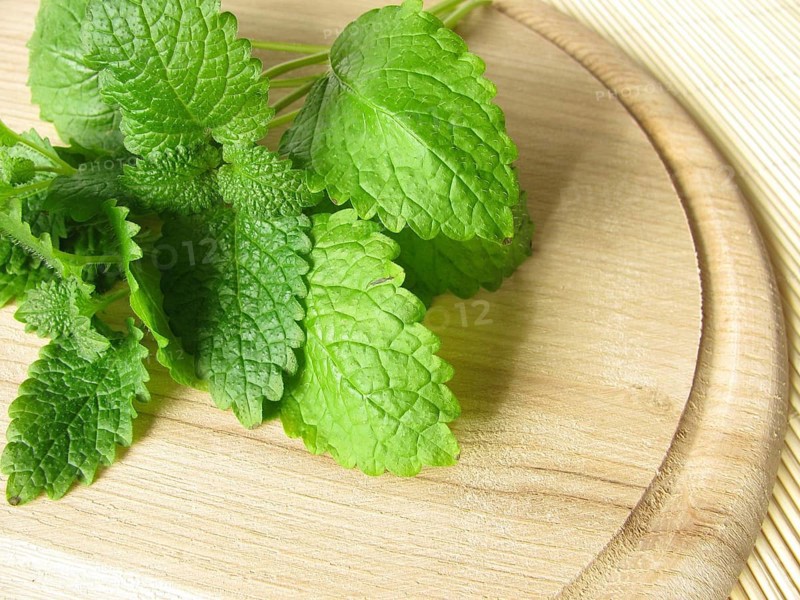 A bunch of lemon balm