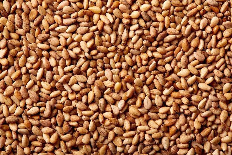 Sesame seeds texture macro detail background