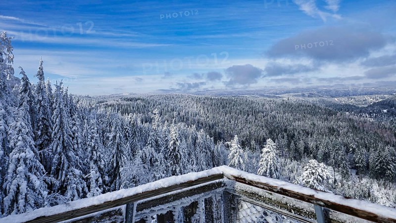 View from the Ellbachseeblick viewing platform in the Northern Black Forest nature park Park
