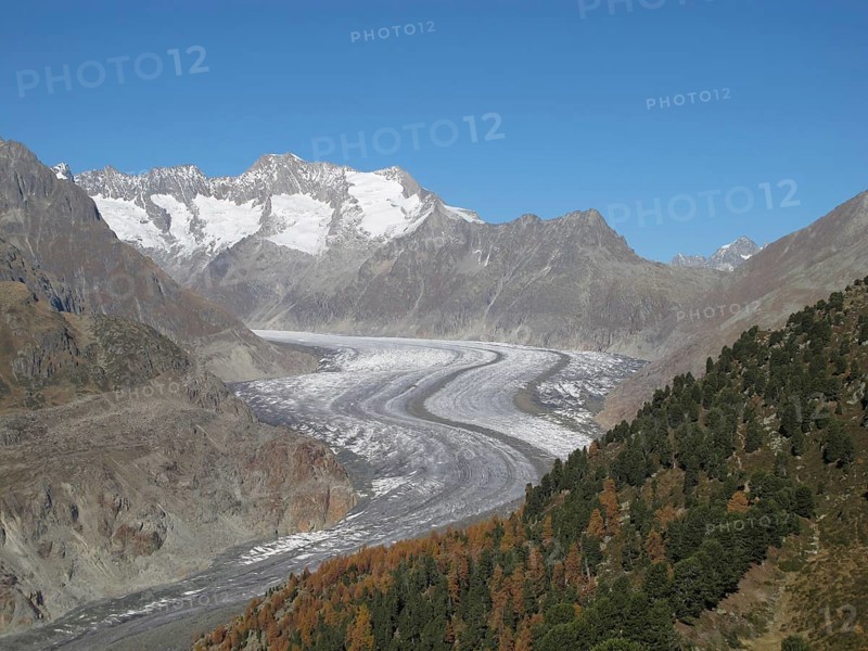 Unique Ice Stream