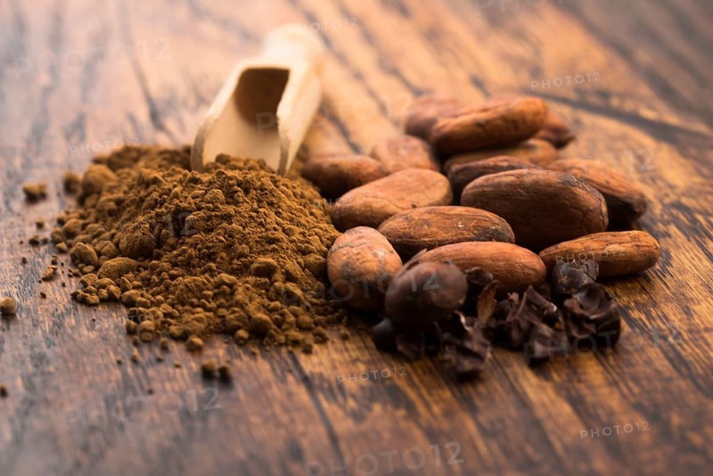 Cacao beans and cacao powder in spoon