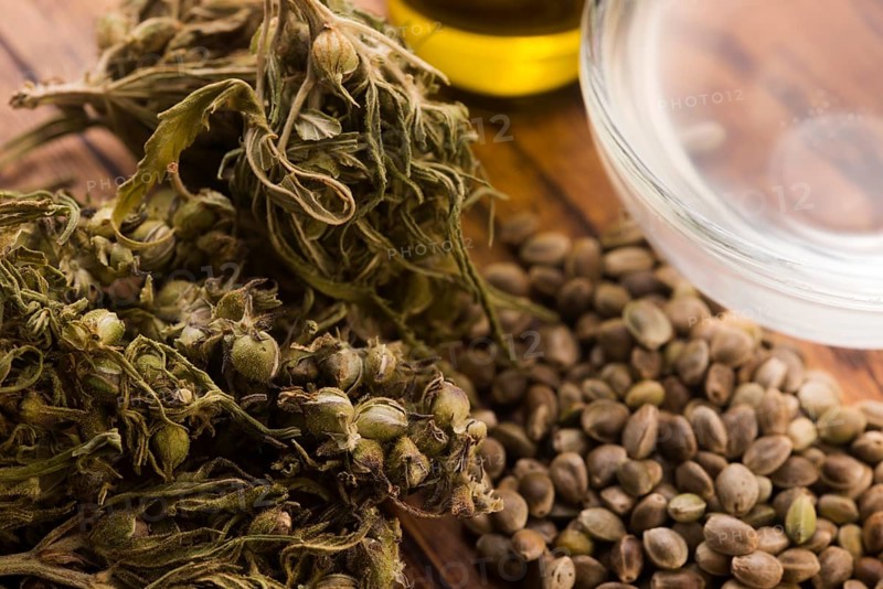 Cannabis extract with leaves