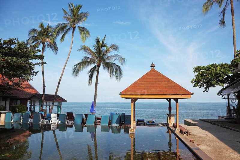 The palm tree and beach armchairs are reflected in a smooth water surface. Pool on a beach of the Thai gulf